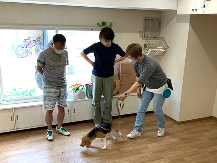 ドッグトレーナーへの店舗貸し1