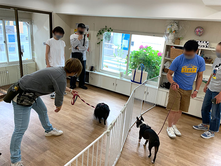 ドッグトレーナーへの店舗貸し2