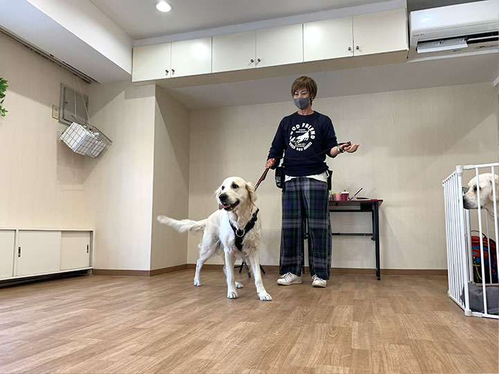 セミナーの店舗貸し出し1