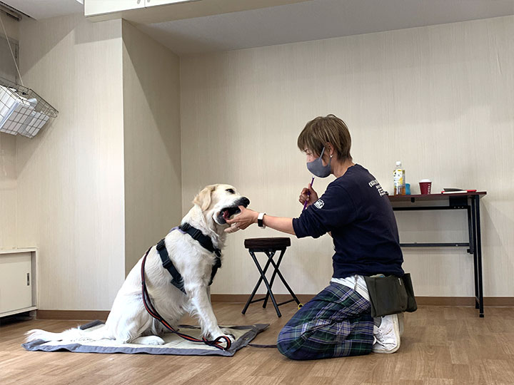 セミナーの店舗貸し出し2