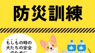 犬の保育園の防災訓練