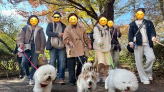 善福寺川緑地でお散歩会