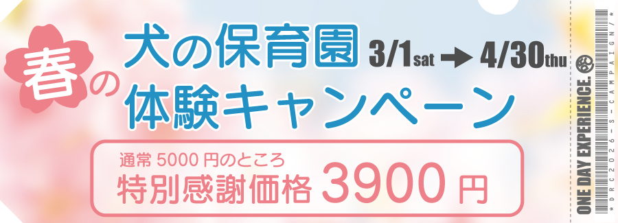 2026年春の犬の保育園体験キャンペーン
