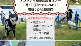 アジリティ基礎知識セミナー開催