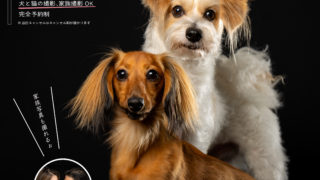 荻窪店にてドイブラック撮影会開催決定!