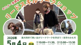 実践！リードスキルワークショップ開催