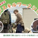 リードスキルワークショップトップ