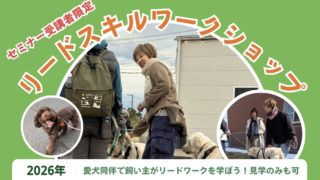 実践！リードスキルワークショップ開催