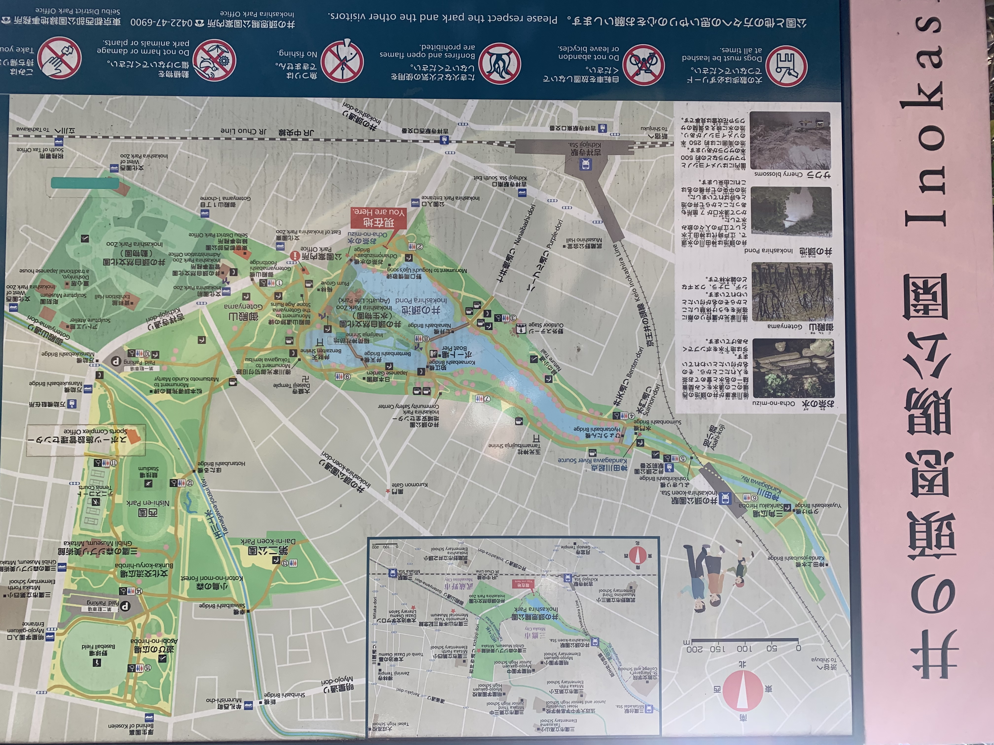 井の頭恩賜公園の全体図